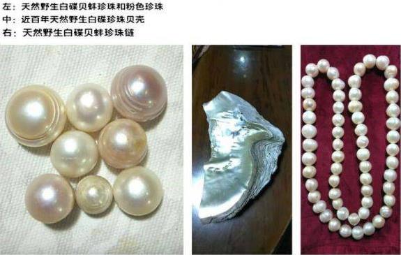 廣東省吳志標論 文入選首屆媽祖文化走進聯(lián)合國論壇