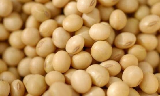 用大豆異黃酮類產(chǎn)品來保養(yǎng)身體 大豆異黃酮對人體的7大作用