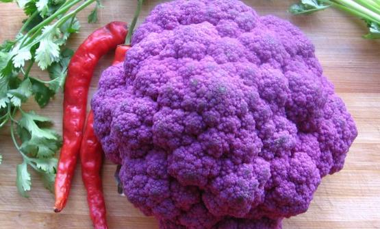 白黃綠紫誰更勝一籌 菜花的5個小知識