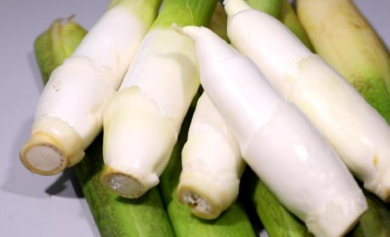 茭白挑選烹調皆有訣竅 清淡可口有解酒醒酒的功效