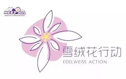 2020蜜特奧兒“雪絨花計劃”全面開啟,隆重來襲!