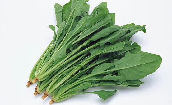 菠菜的營養價值 激活大腦功能增強青春活力