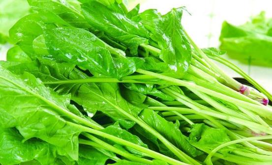 菠菜的營養價值 激活大腦功能增強青春活力