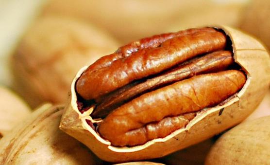 碧根果的功效與作用 食用碧根果不能口無遮攔