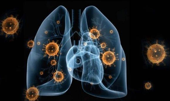 24問新型冠狀病毒肺炎乙類傳染病 事實(shí)到勘謬最全知識點(diǎn)