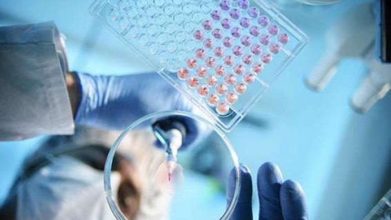 24問新型冠狀病毒肺炎乙類傳染病 事實(shí)到勘謬最全知識點(diǎn)