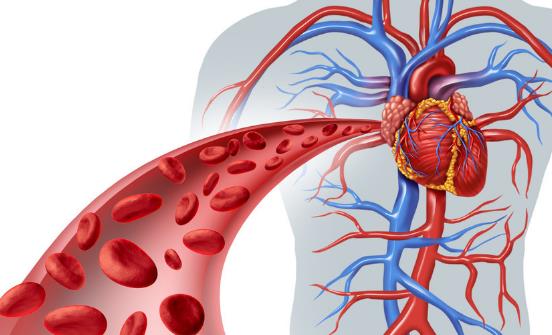 血管不通身體會報警 保持血管暢通應養成七個良好習慣