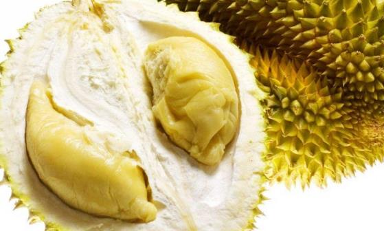 榴蓮有流連忘返的美譽 榴蓮食用時的注意事項: