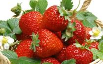 ?挑選草莓的小竅門 過大過重的草莓不要買