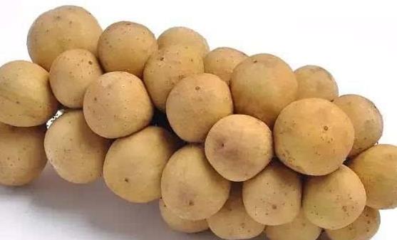 龍宮果的功效和作用 吃龍宮果的禁忌