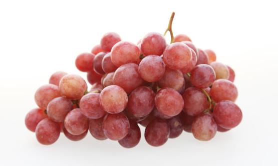 提子的功效與作用 提子的食用注意事項