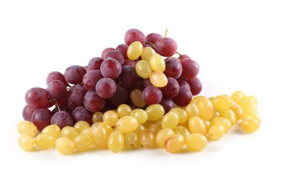 提子的功效與作用 提子的食用注意事項