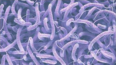 乙類傳染病新型冠狀病毒肺炎已措手不及，甲類傳染病霍亂如何預防