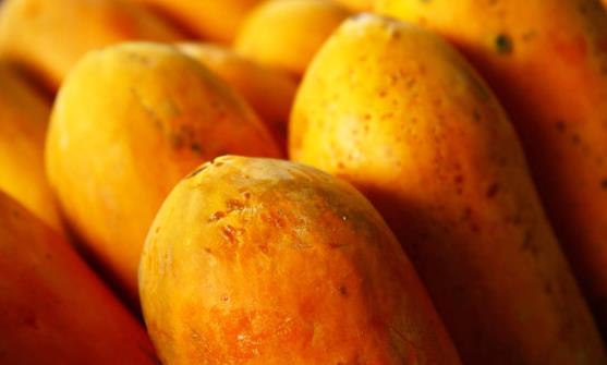 木瓜豐胸通乳緩解體虛 木瓜的做法大全