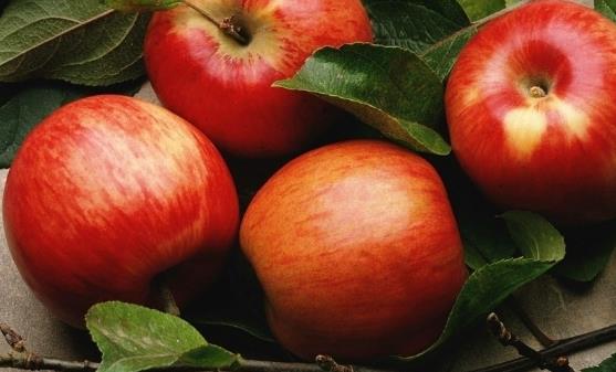 水果不僅增強(qiáng)免疫力還能護(hù)心 吃水果最健康的方法