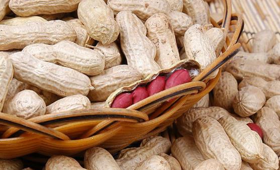 螃蟹美味并不是適合每一個人 吃螃蟹的四大禁忌