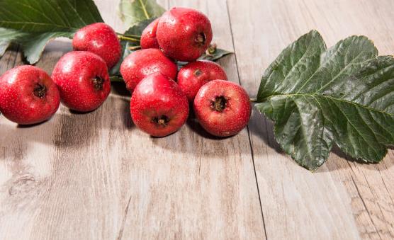 年輕的女性保養卵巢 保養卵巢需要吃的十種食物