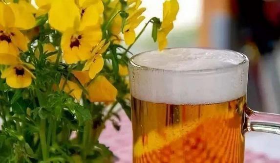 啤酒的15條生活妙招 妙用啤酒擦玻璃、洗刷鍋底、澆花、洗衣、做飯