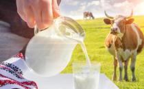 ?老年人常喝牛奶能預防骨質(zhì)疏松 這幾類老年人不要喝牛奶