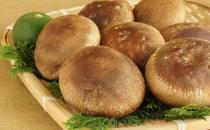 10種食物助力提升免疫力 提高免疫力的四食譜推薦