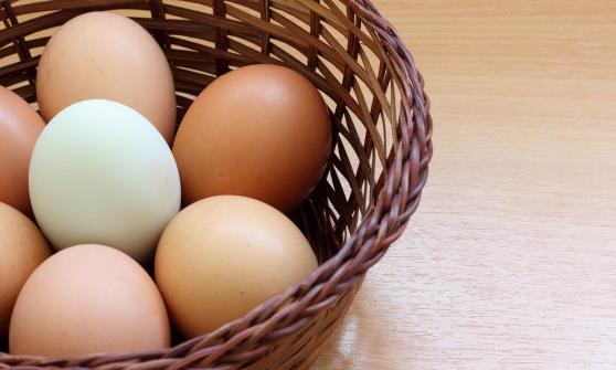 盤點關于雞蛋的七大謠言 紅殼比白殼的蛋營養并無差異