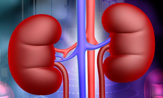 女性產后易出現腎虛癥狀 產后吃什么補腎效果最好