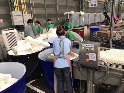 晚上睡不著怎么辦?天然乳膠才是睡眠神器