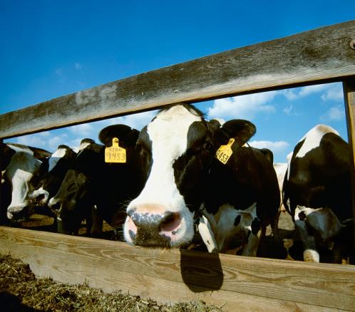 更懂營養的代餐棒!方特健一步搞定,給身體來個“大掃除”!