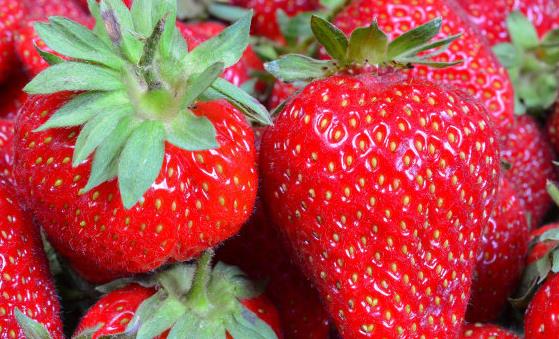 冰箱儲存食物可保鮮 最不該放冰箱的13種食物