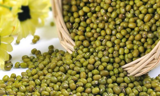 電腦輻射不利于身體健康 食物有減少電腦輻射危害的效果