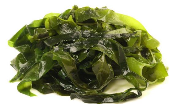 電腦輻射不利于身體健康 食物有減少電腦輻射危害的效果