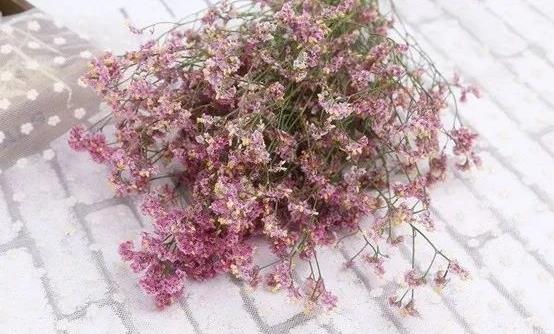 如何讓鮮花長開不敗?