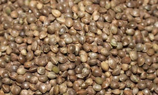 血液垃圾帶來(lái)危害 多吃9類食物有效清理血液垃圾