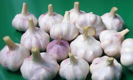 血液垃圾帶來(lái)危害 多吃9類食物有效清理血液垃圾