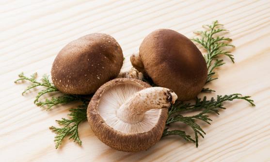 血液垃圾帶來(lái)危害 多吃9類食物有效清理血液垃圾