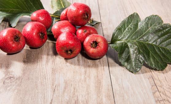 遭嫌棄卻深含大營養的食物 難吃卻最營養