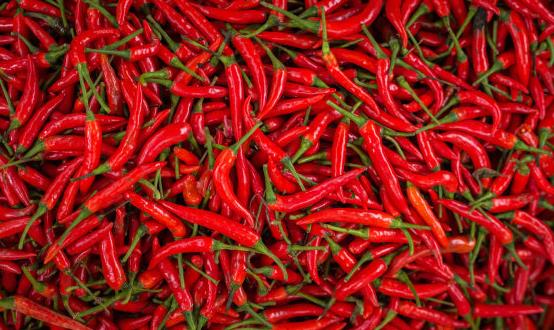 遭嫌棄卻深含大營養的食物 難吃卻最營養