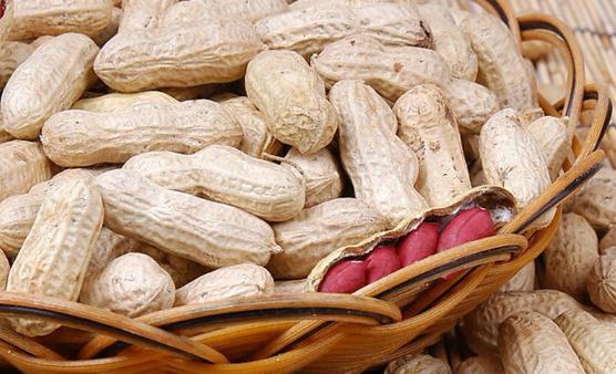 花生稱為長生果 常吃吃花生四大好處