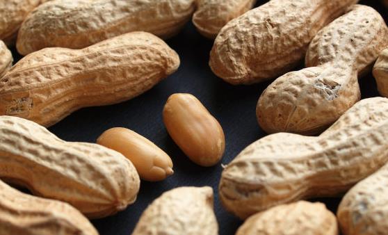 花生稱為長生果 常吃吃花生四大好處