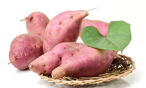 能軟化血管的12種食物 讓血管恢復正常