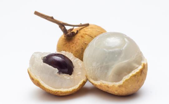 積極的健腦補腦 十三種食物必須吃