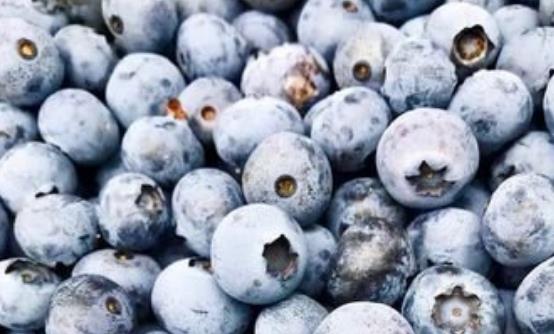 能降血脂的13種天然食物 能有效清除機(jī)體內(nèi)代謝的垃圾