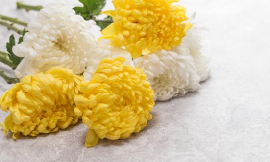 清明時節如何養生 