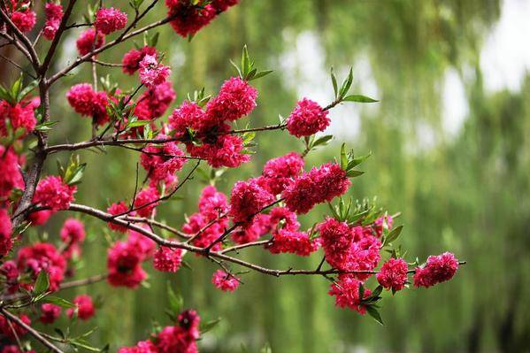 足太醫丨春日好時光，養生正當時