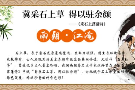 石上草：脫發怎么辦？用什么洗發水好？