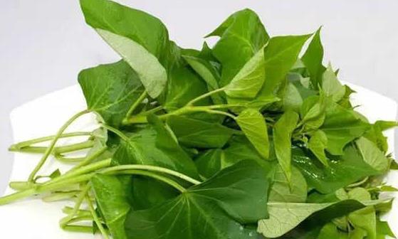 排出體內(nèi)堆積毒素 簡(jiǎn)便易行無副作用