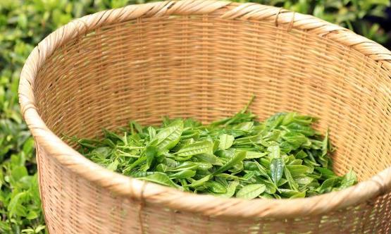 經(jīng)常吃這十二款食物 能有助緩解頭痛