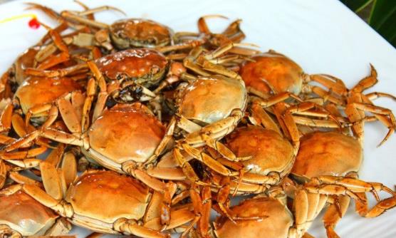 推薦十一款有效的催乳食譜 讓你成功催乳發奶