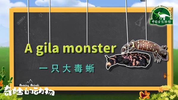 一部非常值得推薦的兒童科普紀錄片—《奇妙的動物》