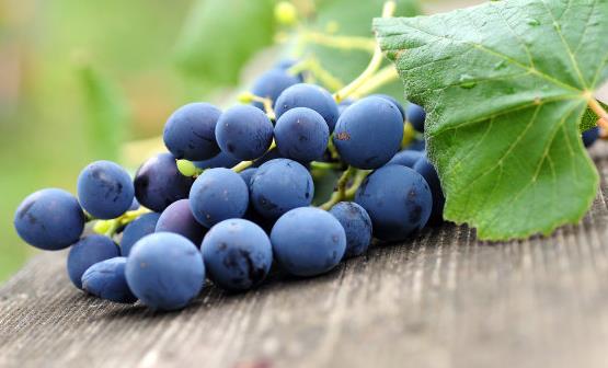 流產后必吃的12種水果 流產后的飲食調理